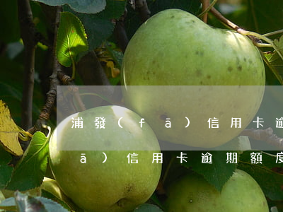 浦發(fā)信用卡逾期額度降低(浦發(fā)信用卡逾期額度降低)