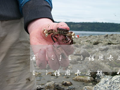 浦發(fā)信用卡逾期顯示注銷(浦發(fā)信用卡逾期給我銷卡了)