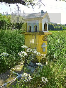 浦發(fā)信用卡逾期黑名單(浦發(fā) 黑卡)