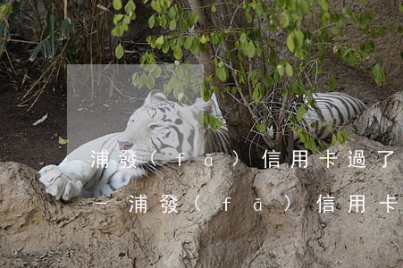 浦發(fā)信用卡過了還款日多久算逾期-浦發(fā)信用卡過了還款日多久算逾期了