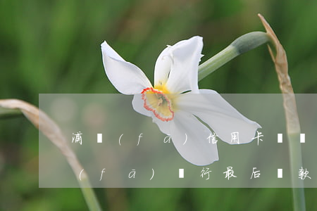 浦發(fā)信用卡過還款日算逾期碼 浦發(fā)銀行最后還款日后三天算逾期不