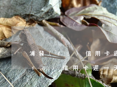 浦發(fā)信用卡遲一天算逾期嗎（浦發(fā)信用卡遲一天算逾期嗎）