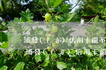 浦發(fā)信用卡還不上欠四萬怎么辦-浦發(fā)信用卡還不上欠四萬怎么辦呢