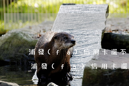 浦發(fā)信用卡還不上每個月還兩千-浦發(fā)信用卡還不上每個月還兩千怎么辦