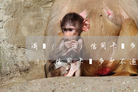 浦發(fā)信用卡還多少不逾期(浦發(fā)信用卡還多少不逾期)