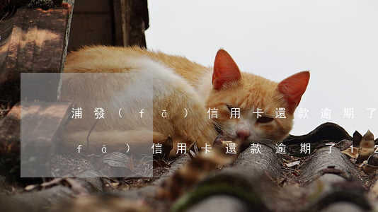浦發(fā)信用卡還款逾期了20(浦發(fā)信用卡還款逾期了12天利息翻了一個倍)