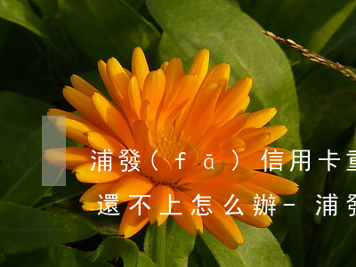 浦發(fā)信用卡重新申請(qǐng)還不上怎么辦-浦發(fā)信用卡重新申請(qǐng)還不上怎么辦呢