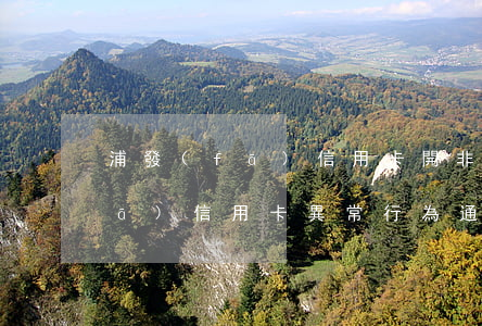 浦發(fā)信用卡開非逾期證明(浦發(fā)信用卡異常行為通知)