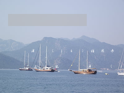 浦發(fā)信用卡預(yù)期半年還不上怎么辦-浦發(fā)信用卡預(yù)期半年還不上怎么辦呢