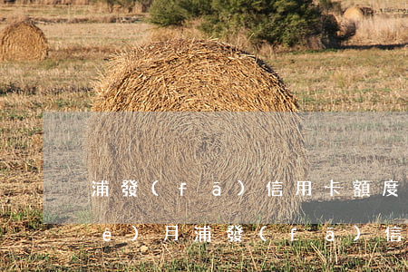 浦發(fā)信用卡額度八千逾期三個(gè)月(浦發(fā)信用卡3個(gè)月提額)