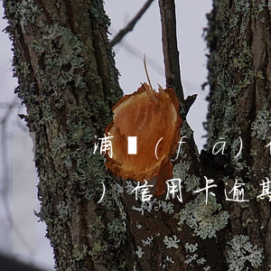 浦發(fā)信用逾期還款方案(浦發(fā)信用卡逾期協(xié)商還款的流程)