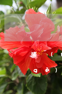 浦發(fā)個(gè)性化分期(銀行個(gè)性化分期政策)