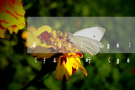 浦發(fā)個(gè)性化分期錄音(浦發(fā)銀行個(gè)性化分期成功后會(huì)簽訂協(xié)議嗎)