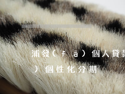 浦發(fā)個人貸款好申請嗎（浦發(fā)個性化分期）