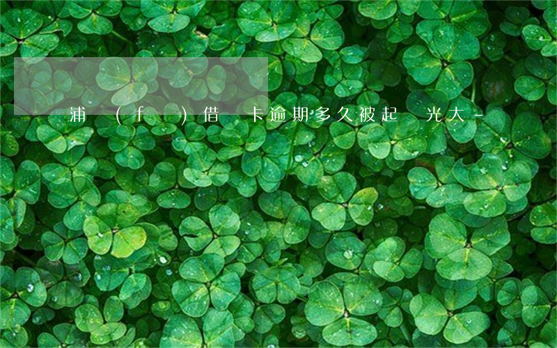 浦發(fā)借記卡逾期多久被起訴光大-