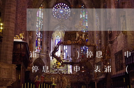 浦發(fā)停息掛賬申請條件（信用卡逾期停息掛賬申請表浦發(fā)）
