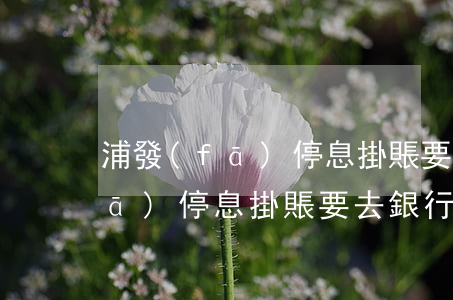 浦發(fā)停息掛賬要去銀行嗎(浦發(fā)停息掛賬要去銀行嗎)