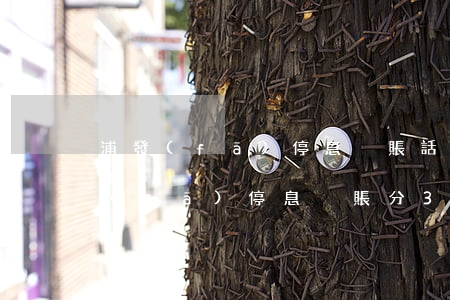 浦發(fā)停息掛賬話術(shù)（浦發(fā)停息掛賬分36期）