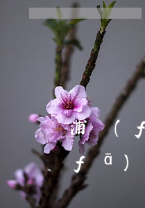浦發(fā)停息掛賬需要什么資料(浦發(fā)停息掛賬)