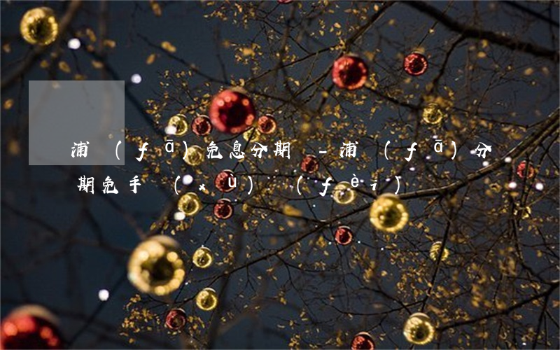 浦發(fā)免息分期還-浦發(fā)分期免手續(xù)費(fèi)