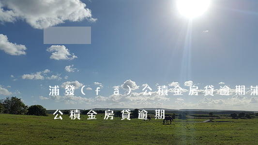 浦發(fā)公積金房貸逾期(浦發(fā)公積金房貸逾期)