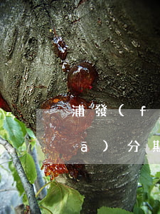 浦發(fā)分期優(yōu)惠(浦發(fā)分期優(yōu)惠券在哪領(lǐng))
