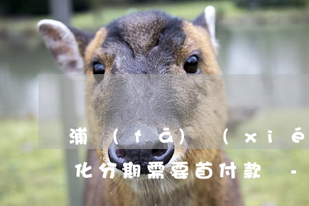 浦發(fā)協(xié)商個(gè)性化分期需要首付款嗎-浦發(fā)銀行協(xié)商個(gè)性化分期
