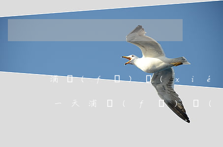 浦發(fā)協(xié)商成功后逾期了一天(浦發(fā)協(xié)商成功后逾期了一天)