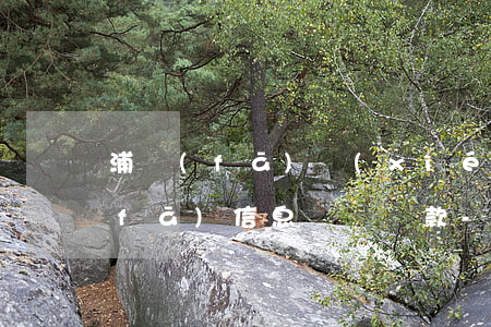 浦發(fā)協(xié)商成功還是發(fā)信息說沒還款-浦發(fā)協(xié)商后還是還不上