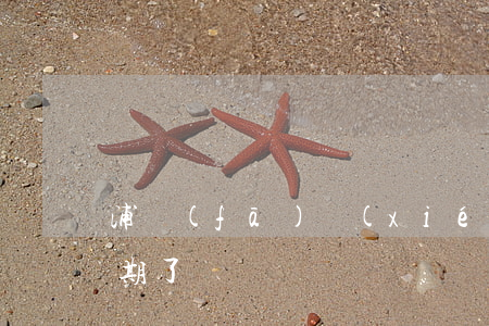 浦發(fā)協(xié)商還款之后又逾期了