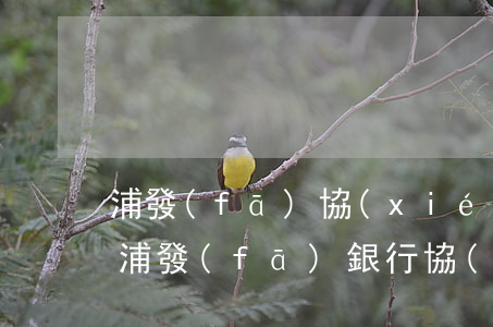 浦發(fā)協(xié)商還款人工幫助(浦發(fā)銀行協(xié)商還款)