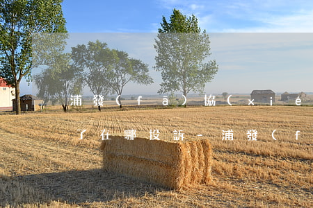 浦發(fā)協(xié)商還款后積分沒了在哪投訴-浦發(fā)協(xié)商還款后積分沒了在哪投訴啊
