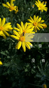浦發(fā)協(xié)商還款還款日有沒有寬限期-浦發(fā)協(xié)商還款還款日有沒有寬限期啊