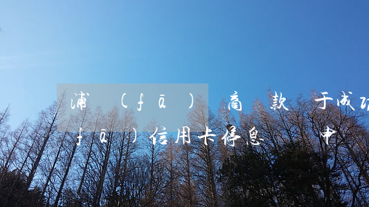 浦發(fā)協商還款終于成功了-浦發(fā)信用卡停息掛賬申請辦法