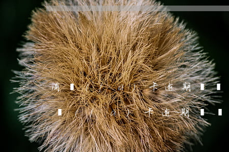 浦發(fā)卡逾期凍結(jié)一天（浦發(fā)卡逾期凍結(jié)一天）