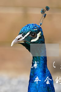 浦發(fā)只還本金的 浦發(fā)只還本金的
