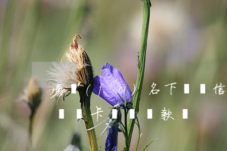 浦發(fā)名下兩張信用卡(浦發(fā)兩張卡單獨還款嗎)