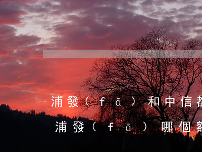 浦發(fā)和中信都逾期了怎么辦(中信和浦發(fā)哪個額度高)