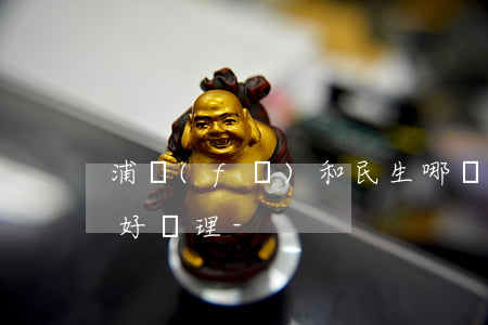 浦發(fā)和民生哪個(gè)銀行逾期好處理-