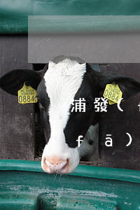 浦發(fā)大額信用卡不還怎么辦(浦發(fā)銀行的信用卡額度高不高)