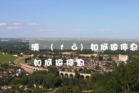 浦發(fā)如何做停息掛賬 浦發(fā)如何做停息掛賬