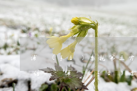 浦發(fā)委托第三方協(xié)商可信嗎-浦發(fā)委托第三方協(xié)商可信嗎
