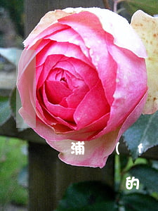 浦發(fā)官方對(duì)信用卡停息掛賬的辦法-浦發(fā)官方對(duì)信用卡停息掛賬的辦法是什么