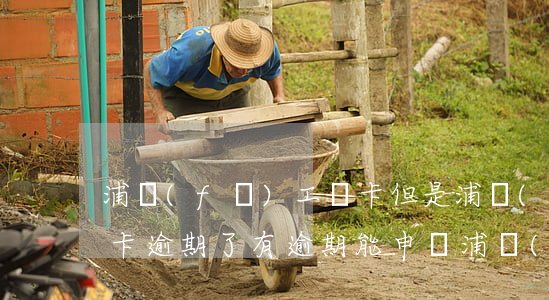 浦發(fā)工資卡但是浦發(fā)信用卡逾期了(有逾期能申請浦發(fā)信用卡)