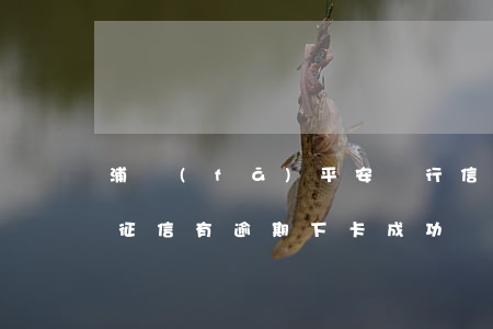 浦發(fā)平安銀行信用卡逾期怎么處理(征信有逾期下卡成功)