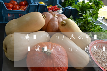 浦發(fā)怎么申請(qǐng)停息掛賬(浦發(fā)停息掛賬手續(xù)費(fèi)收多少)