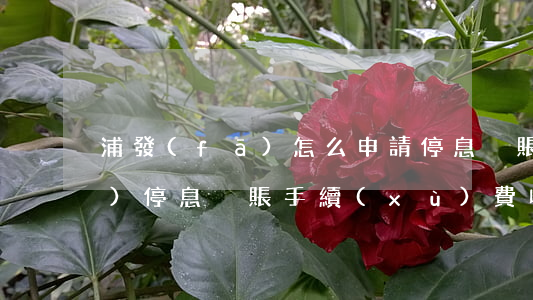 浦發(fā)怎么申請停息掛賬(浦發(fā)停息掛賬手續(xù)費收多少)