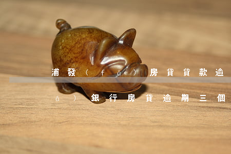 浦發(fā)房貸貸款逾期1天6(浦發(fā)銀行房貸逾期三個月以上沒還怎么辦)