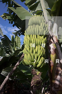 浦發(fā)房貸逾期征信消除(浦發(fā)房貸逾期一天能去浦發(fā)說明情況嗎)