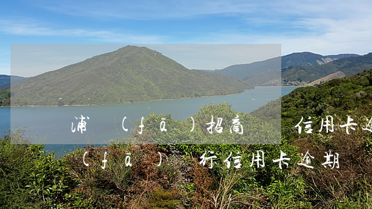 浦發(fā)招商兩張信用卡逾期5次(浦發(fā)銀行信用卡 逾期)